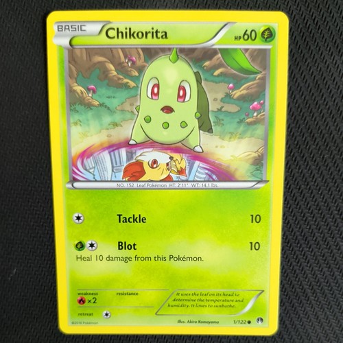 Chikorita