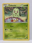Chikorita