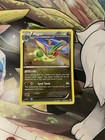 Flygon