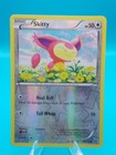 Skitty