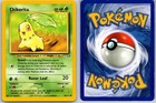 Chikorita