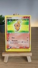 Torchic