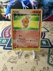 Torchic