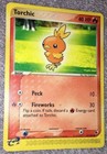 Torchic