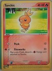 Torchic