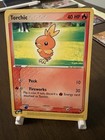 Torchic