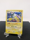 Raikou