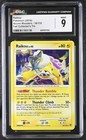 Raikou