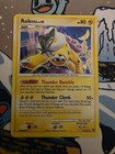 Raikou