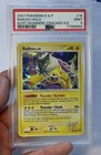 Raikou