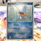 Mudkip