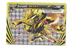 Zoroark BREAK