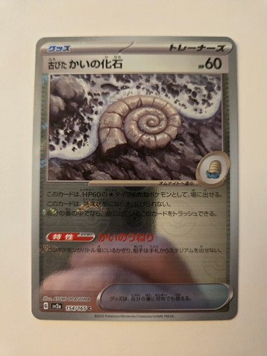 Old Helix Fossil
