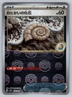 Old Helix Fossil