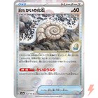 Old Helix Fossil