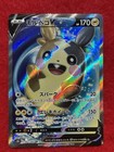 Morpeko V