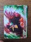 Ho-Oh Legend