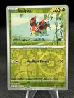 Ledyba