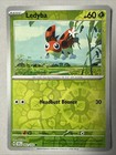 Ledyba