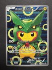 Poncho-Wearing Pikachu 