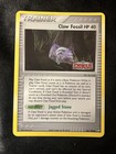 Claw Fossil