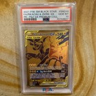 Pikachu & Zekrom GX