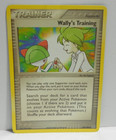 Wally's Training