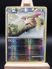 Pidgeot