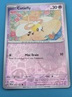 Cutiefly