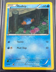 Mudkip