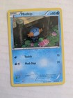 Mudkip