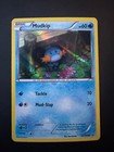 Mudkip