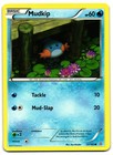 Mudkip