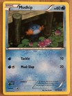 Mudkip