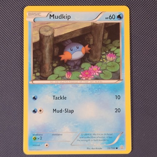 Mudkip