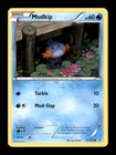 Mudkip