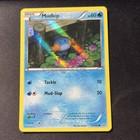 Mudkip