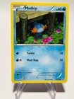 Mudkip