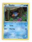 Mudkip