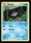 Mudkip