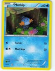 Mudkip