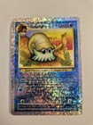Omanyte