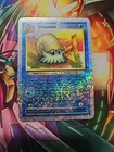 Omanyte