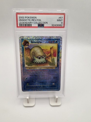 Omanyte