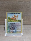 Lillipup