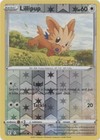 Lillipup