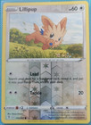 Lillipup