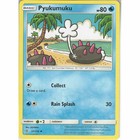 Pyukumuku