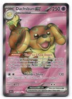 Dachsbun ex