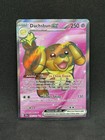 Dachsbun ex